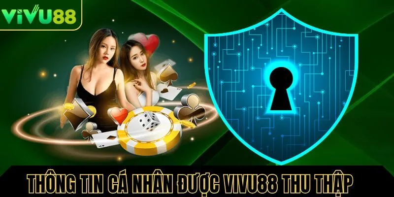 Những thông tin cá nhân được Vivu88 thu thập